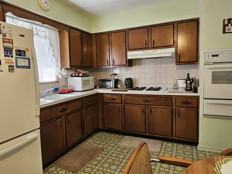 20 E Kathleen Dr, Des Plaines, IL 60016 photo 13