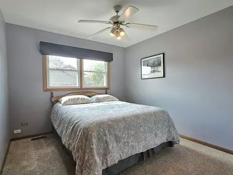 10509 Willow Ave, Mokena, IL 60448 photo 21