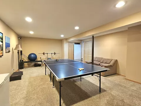 10509 Willow Ave, Mokena, IL 60448 photo 16