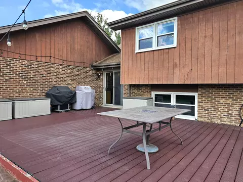 10509 Willow Ave, Mokena, IL 60448 photo 23