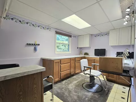 10509 Willow Ave, Mokena, IL 60448 photo 15