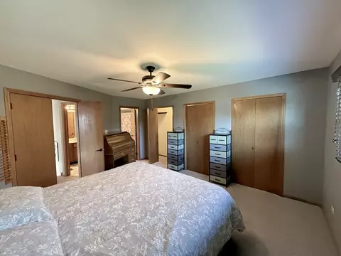 10509 Willow Ave, Mokena, IL 60448 photo 18