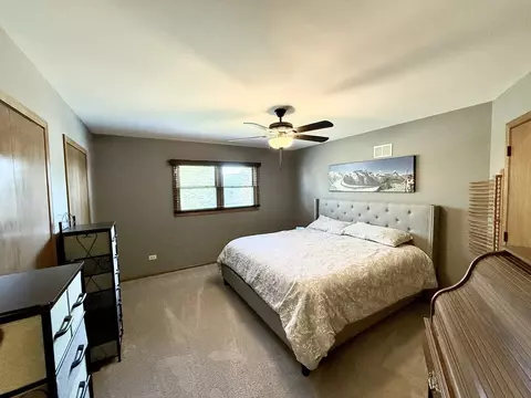 10509 Willow Ave, Mokena, IL 60448 photo 17