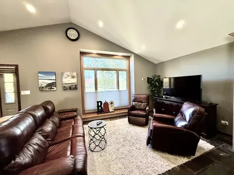 10509 Willow Ave, Mokena, IL 60448 photo 10