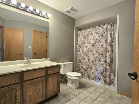 10509 Willow Ave, Mokena, IL 60448 photo 19