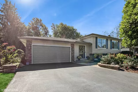 329 Council Ct, Schaumburg, IL 60193