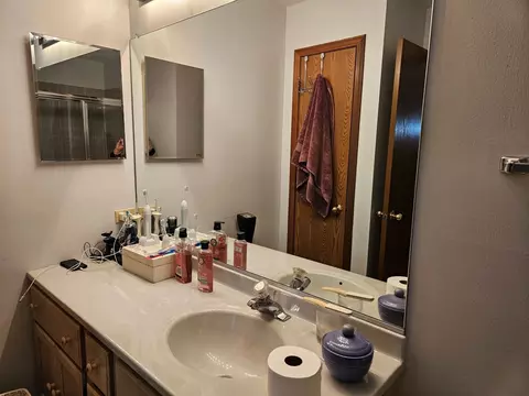 20836 W Foxtail Ct, Plainfield, IL 60544 photo 7