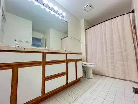 Bath - 2136 Peach Tree Ln, Algonquin, IL 60102 photo 3 of 3