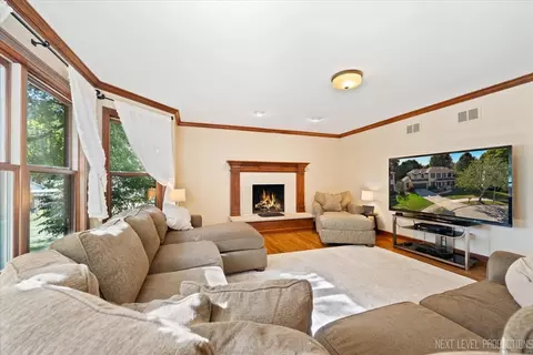Living - 938 Oakleaf Ct, Naperville, IL 60540 photo 3 of 4