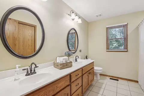 25052 Michele Dr, Plainfield, IL 60544 photo 21