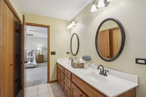25052 Michele Dr, Plainfield, IL 60544 photo 22