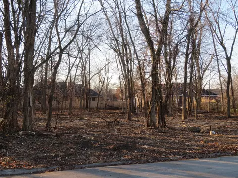 lot58 Timber Edge Dr, Morris, IL 60450