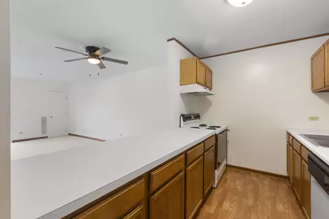 3265 Kirchoff Rd #127, Rolling Meadows, IL 60008 photo 8