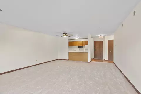 3265 Kirchoff Rd #127, Rolling Meadows, IL 60008 photo 6