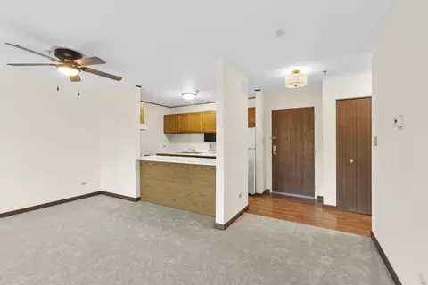3265 Kirchoff Rd #127, Rolling Meadows, IL 60008 photo 7