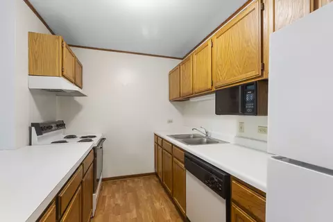 3265 Kirchoff Rd #127, Rolling Meadows, IL 60008 photo 9