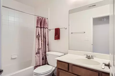 Bath - 320 Laurel Ave, Des Plaines, IL 60016 photo 4 of 4