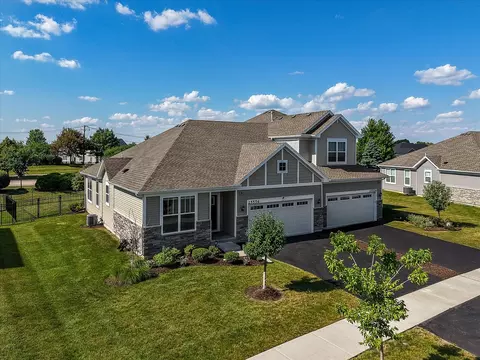 View/Area - 25556 W Springview Dr, Plainfield, IL 60586 photo 1 of 9