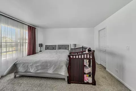 24314 Walnut Cir, Plainfield, IL 60585 photo 21