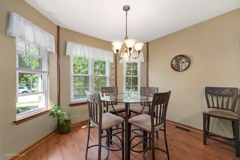 21433 W Sycamore Ct, Plainfield, IL 60544 photo 8
