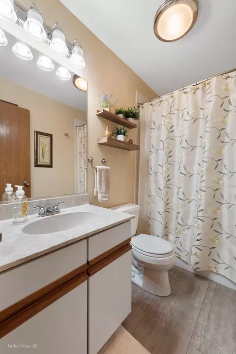21433 W Sycamore Ct, Plainfield, IL 60544 photo 16