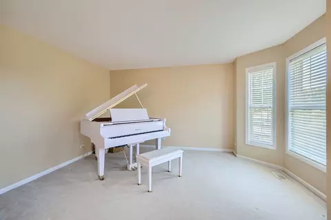 13341 Wellesley Ct, Plainfield, IL 60585 photo 7