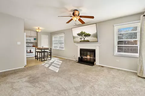 Living - 648 Springfield Ct, Roselle, IL 60172 photo 4 of 7