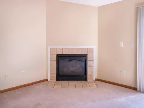 981 Constance Ln #E, Sycamore, IL 60178 photo 5