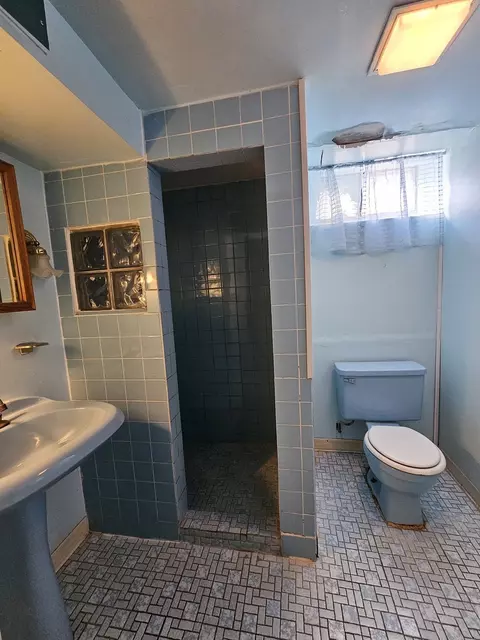 Bath - 424 E Drake Ave, Addison, IL 60101 photo 2 of 2