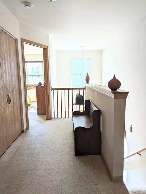 4021 Oak Tree Ln, Plainfield, IL 60586 photo 11