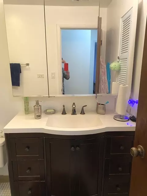 Bath - 709 W Central Rd #A3, Mount Prospect, IL 60056 photo 2 of 3