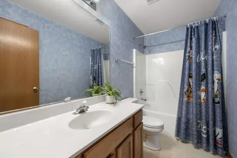 Bath - 33 Forestview Ln, Aurora, IL 60502 photo 4 of 4