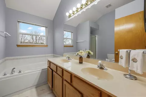 Bath - 33 Forestview Ln, Aurora, IL 60502 photo 2 of 4