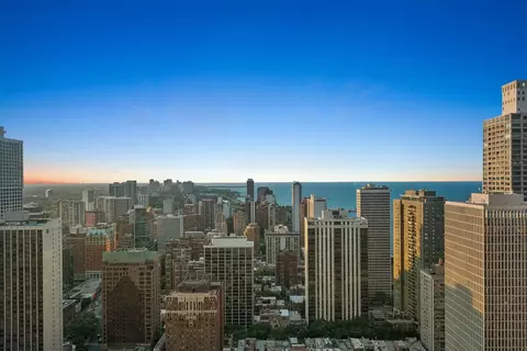 View/Area - 57 E Delaware Pl #PH4001, Chicago, IL 60611 photo 5 of 5