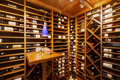 Other - 57 E Delaware Pl #PH4001, Chicago, IL 60611 photo 3 of 11
