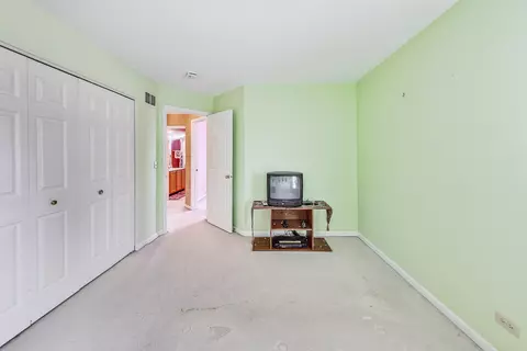 238 Butler Dr, Bartlett, IL 60103 photo 44