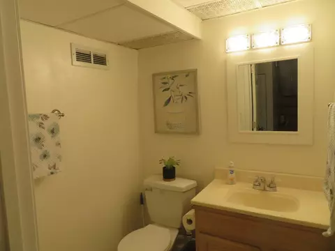 6955 Cambridge Dr, Morris, IL 60450 photo 28