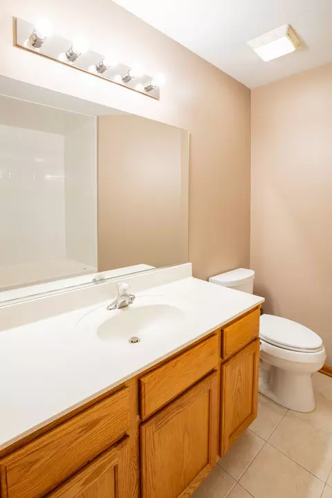 Bath - 5603 W Sutton Pl #A, Monee, IL 60449 photo 2 of 7