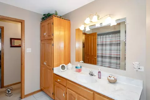 10026 Lancaster Dr, Mokena, IL 60448 photo 20