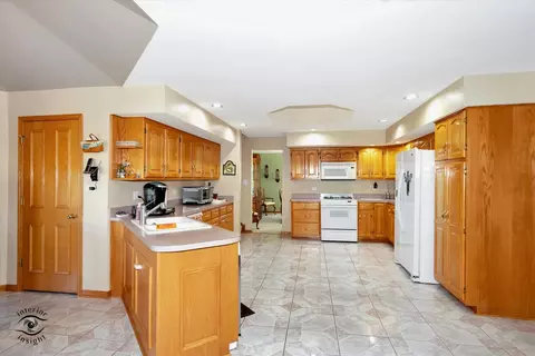10026 Lancaster Dr, Mokena, IL 60448 photo 4
