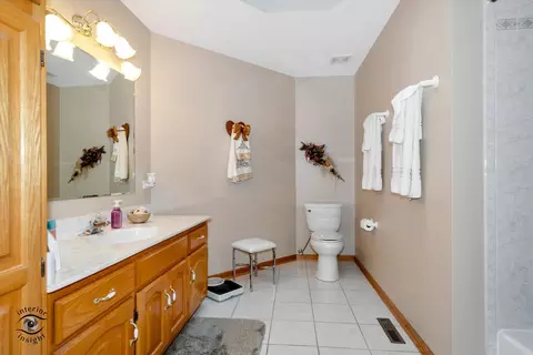 10026 Lancaster Dr, Mokena, IL 60448 photo 19