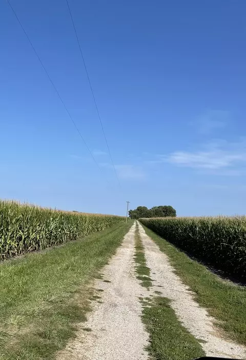 1874 E 27th Rd, Ransom, IL 60470 photo 3