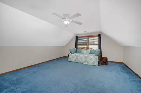 450 S Division St, Braidwood, IL 60408 photo 23