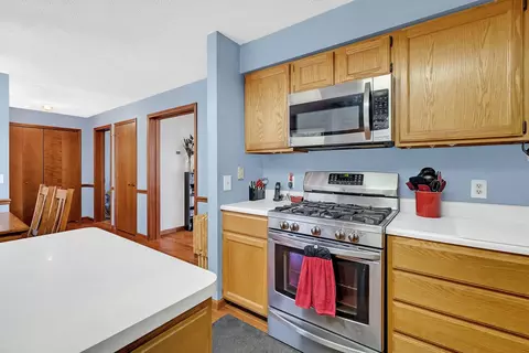 450 S Division St, Braidwood, IL 60408 photo 9