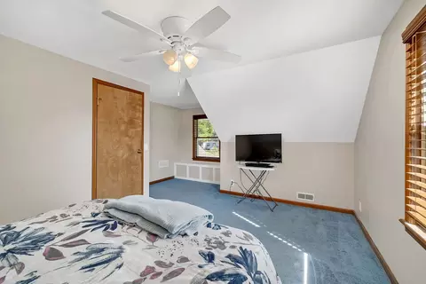 450 S Division St, Braidwood, IL 60408 photo 21