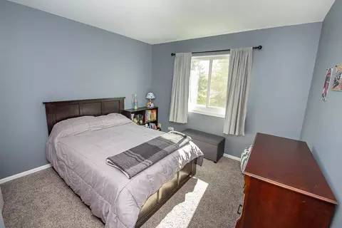 172 Switchgrass Dr, Round Lake, IL 60073 photo 23