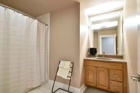 Bath - 25255 S Chennault Ave, Monee, IL 60449 photo 4 of 5