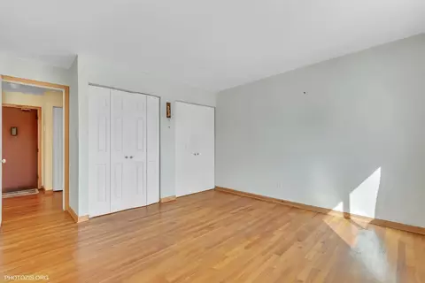 8900 David Pl #1E, Des Plaines, IL 60016 photo 18
