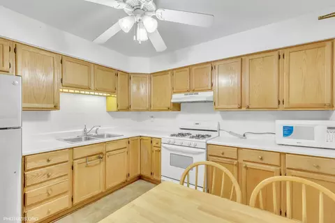 8900 David Pl #1E, Des Plaines, IL 60016 photo 15
