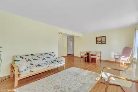 8900 David Pl #1E, Des Plaines, IL 60016 photo 9